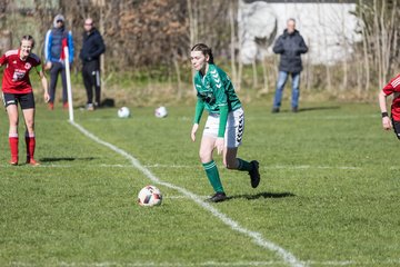 Bild 305 - F SG NieBar - IF Stjernen Flensborg : Ergebnis: 4:1